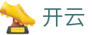 开云(kaiyun)中文官网首页 - kaiyun官方登录